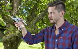 Comfort Racsnis metszőolló  SmartCut 25 mm 3.Kép