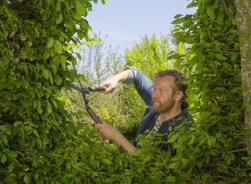 NatureCut sövénynyíró olló 3.Kép