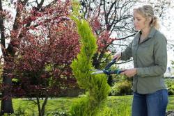 PrecisionCut sövénynyíró olló 4.Kép