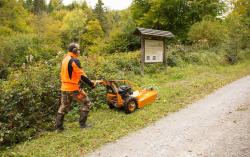 AS 65 4T B&S magasgazvágó 4.Kép