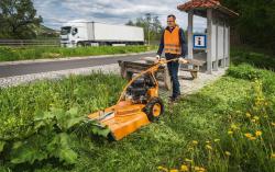 AS 65 4T B&S magasgazvágó 6.Kép