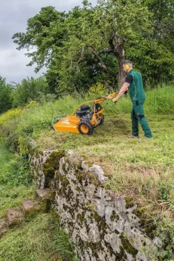 AS 73 4T B&S magasgazvágó 2.Kép