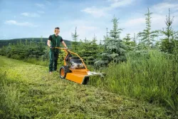 AS 73 4T B&S magasgazvágó 3.Kép