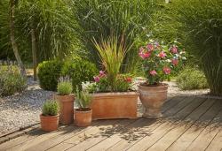 Micro-Drip-System indulókészlet  cserepes növényekhez M 3.Kép