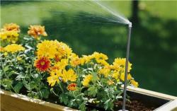 Micro-Drip-System T-elem  permetezőfúvókákhoz 4,6 mm 2.Kép