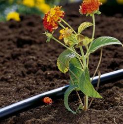 Micro-Drip-System végcsepegtető  2 l/óra 2.Kép