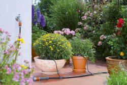 Micro-Drip-System nyomáskiegyenlítős végcsepegtető  2 l/óra 4.Kép