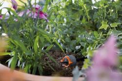 Micro-Drip-System szabályozható végcsepegtető  nyomáskiegyenlítős 3.Kép