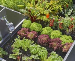 Micro-Drip-System indulókészlet  magaságyásokhoz, automatic 4.Kép