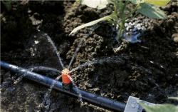 Micro-Drip-System kisfelület-fúvóka 2.Kép