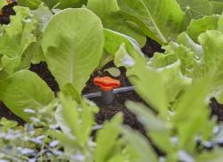 Micro-Drip-System zárószelep  4,6 mm-es 4.Kép