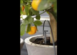 City Gardening automata öntözőkanna 3.Kép