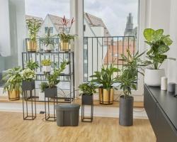 City Gardening automata öntözőkanna  víztartállyal 4.Kép