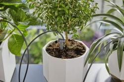 City Gardening automata öntözőkanna  víztartállyal 6.Kép