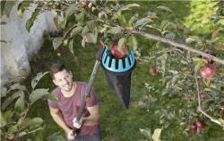 Combisystem gyümölcsszüretelő 5.Kép