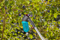 Combisystem bogyósgyümölcs-szüretelő 3.Kép