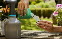 pumpás permetező  1 l 3.Kép