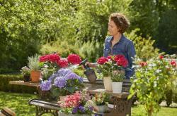 pumpás permetező  1 l 8.Kép