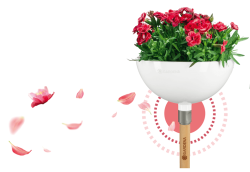 https://www.andlkft.hu/media_ws/10015/2035/idx/gardena-clickup-viragtal.png
