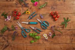 szüretelő kés 6.Kép