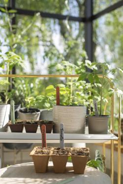 szüretelő olló  készlet 7.Kép