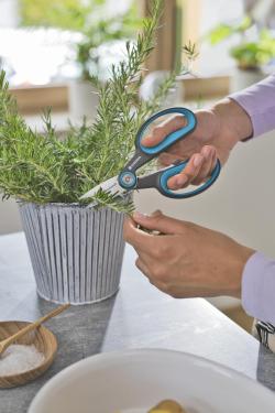 HerbCut fűszernövény olló  készlet 3.Kép