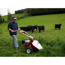 T60 alternáló kasza  (B&S motor) 2.Kép