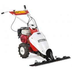 T60 alternáló kasza  (B&S motor) 1.Kép