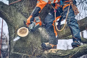 T542i XP akkumulátoros láncfűrész  (csak gép) (AJÁNDÉK csősál) 8.Kép