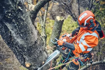 560 XP Mark II láncfűrész 6.Kép
