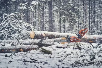 560 XP G Mark II láncfűrész 5.Kép