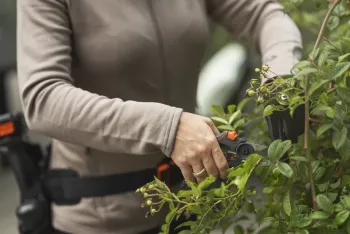 HS22 metszőolló 2.Kép