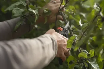 HS22 metszőolló 4.Kép