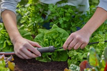 Micro-Drip-System csatlakozó alapelemhez  13 mm (1/2")  G 3/4" 3.Kép