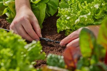 Micro-Drip-System kötőelem  4,6 mm (3/16") 3.Kép