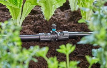 Micro-Drip-System T-elem  permetezőfúvókákhoz 13 mm (1/2") 3.Kép