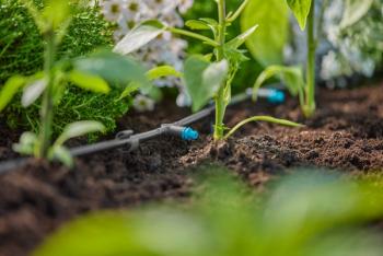 Micro-Drip-System sorcsepegtető  2 l/óra 3.Kép