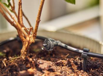 Micro-Drip-System nyomáskiegyenlítős sorcsepegtető  2 l/óra 3.Kép