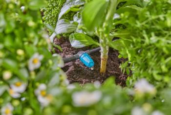 Micro-Drip-System szabályozható sorcsepegtető 3.Kép