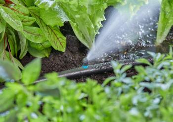 Micro-Drip-System vég-csíkfúvóka 3.Kép