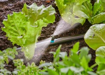Micro-Drip-System csíkfúvóka 2.Kép