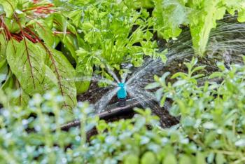 Micro-Drip-System kisfelület-fúvóka 3.Kép