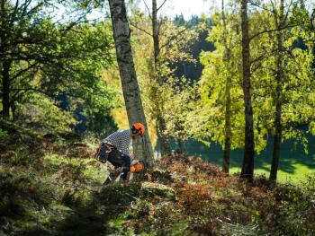 450S láncfűrész  (MOST AJÁNDÉK LS+ 2T OLAJJAL) 6.Kép