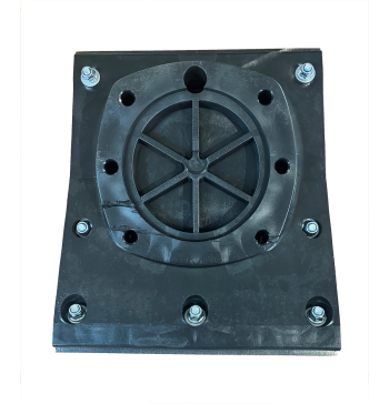 döngölőbéka talp 2.Kép