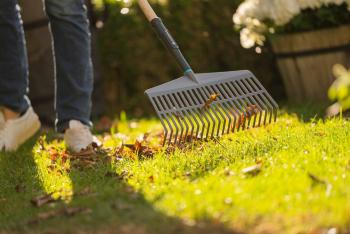 PureLine lombseprű 2.Kép