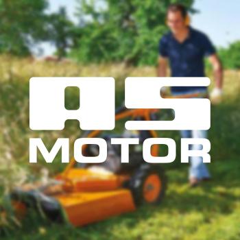 késtárcsa  (AS 65 Scout) 2.Kép