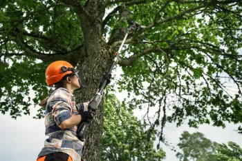 Aspire ágvágó fűrész  + teleszkópos szár 3.Kép